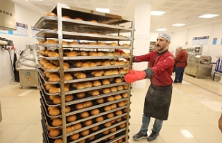 Tokat Gaziosmanpaşa Üniversitesi'nden Üretim...